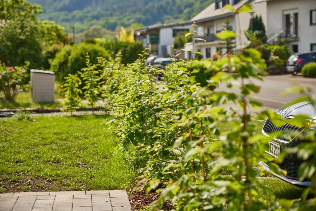 Mittelmosel Panorama Ferienwohnung Kinheim Exteriör bild